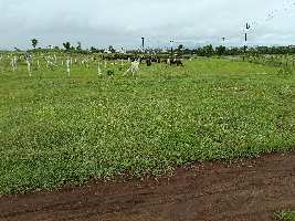  Agricultural Land for Sale in Uran Islampur, Sangli