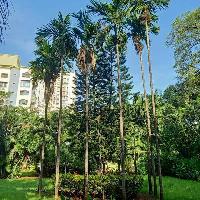 2 BHK Flat for Sale in Kolbad, Thane