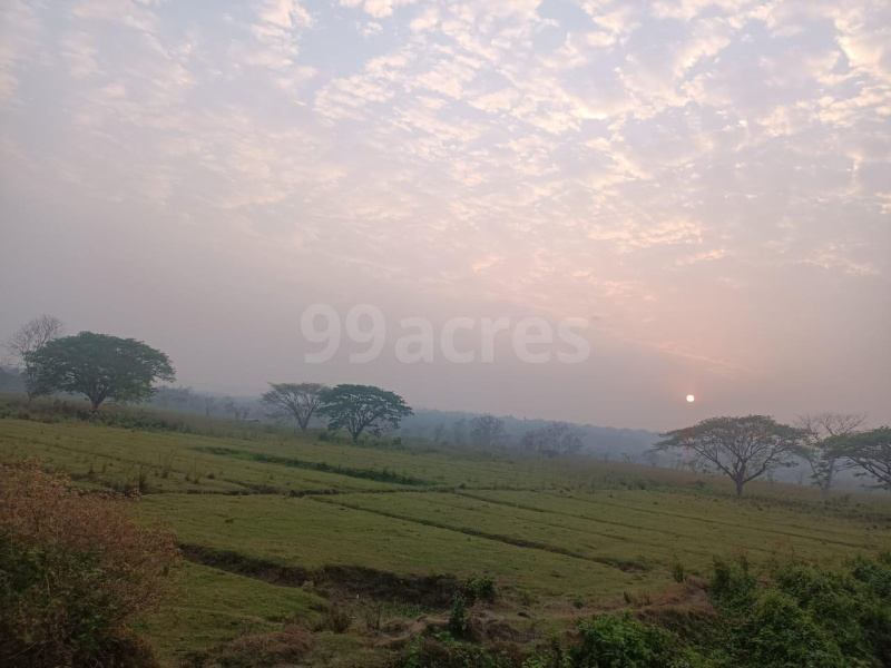  Agricultural Land 2400 Bigha for Sale in Lala, Hailakandi