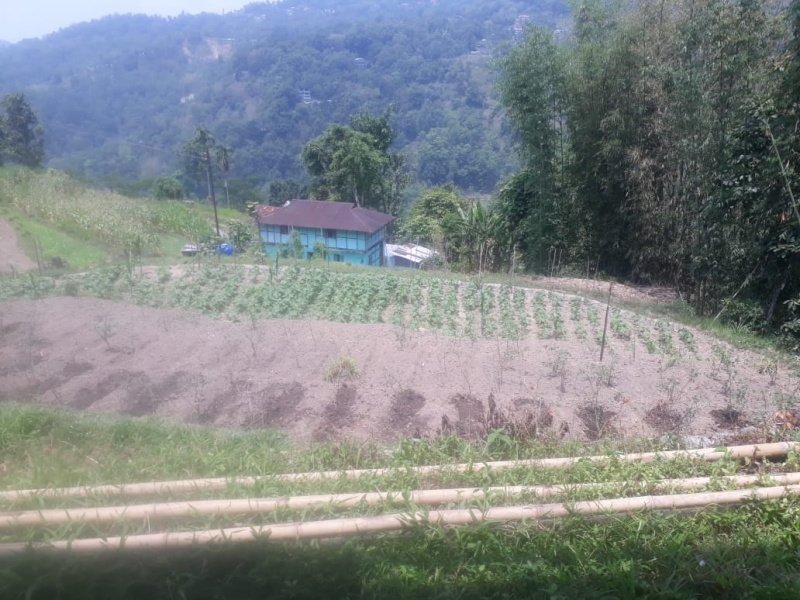  Agricultural Land 27000 Sq.ft. for Sale in Rishi Road, Kalimpong