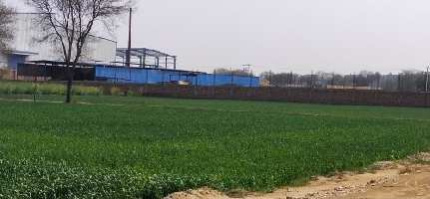  Agricultural Land 18 Ares for Sale in Jhajjar Road, Gurgaon