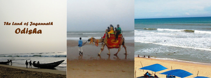  Residential Plot 55 Katha for Rent in Sea Beach, Puri
