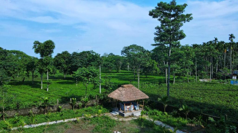  Hotels 5 Bigha for Sale in Malbazar, Jalpaiguri