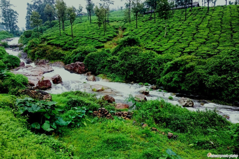  5846 Acre Agricultural/Farm Land for Sale in Valparai, Coimbatore