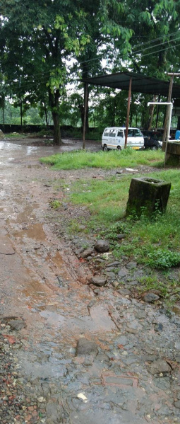  10 Bigha Industrial Land for Sale in Islampur, Uttar Dinajpur