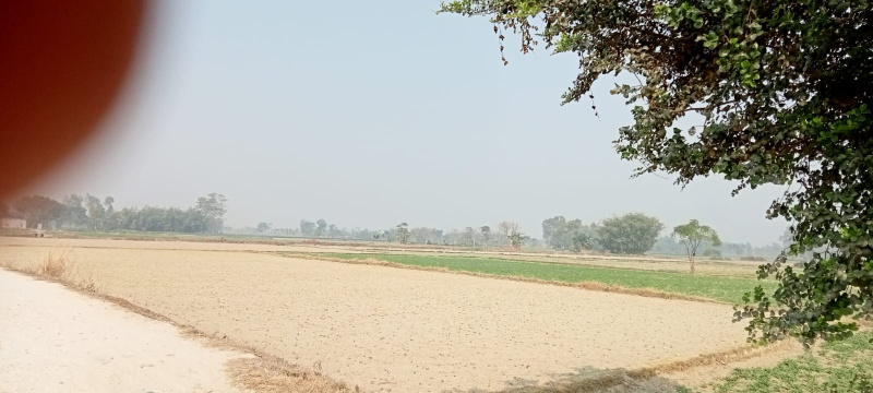  10 Bigha Industrial Land for Sale in Islampur, Uttar Dinajpur