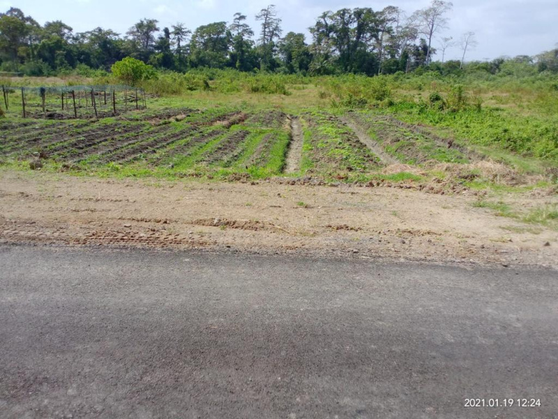  20 Bigha Industrial Land for Sale in Islampur, Uttar Dinajpur