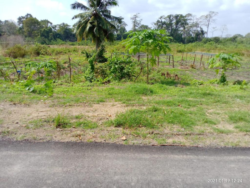  20 Bigha Industrial Land for Sale in Islampur, Uttar Dinajpur