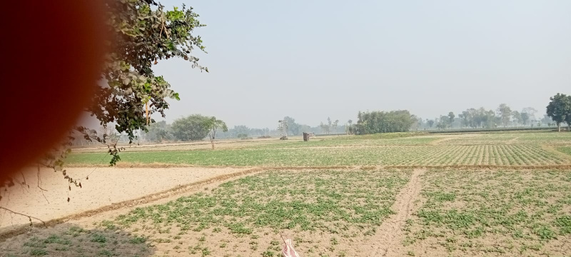  6000 Acre Commercial Land for Sale in Jhargram, Medinipur