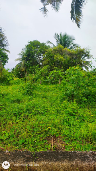  17 Bigha Agricultural/Farm Land for Sale in Islampur, Uttar Dinajpur