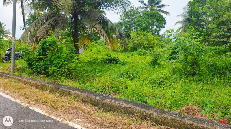  17 Bigha Agricultural/Farm Land for Sale in Islampur, Uttar Dinajpur