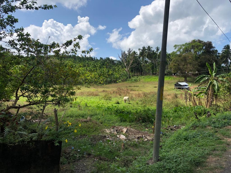  17 Bigha Agricultural/Farm Land for Sale in Islampur, Uttar Dinajpur