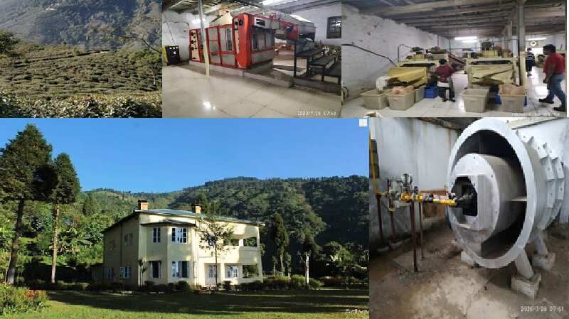  Agricultural Land 355 Acre for Sale in Kolbong, Darjeeling