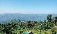  Agricultural Land for Sale in Kurseong, Darjeeling