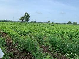  Agricultural Land for Sale in Kodangal, Vikarabad