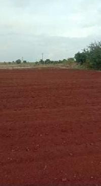  Agricultural Land for Sale in Chitgoppa, Bidar