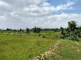  Agricultural Land for Sale in Adityapur, Jamshedpur