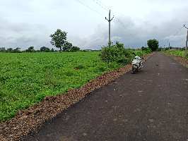 Agricultural Land for Sale in Nisarpur, Dhar