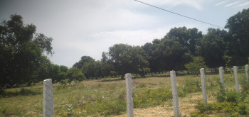  Agricultural Land for Sale in Marakkanam, Villupuram