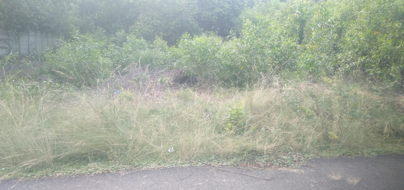  18 Cent Residential Plot for Sale in Kadapakkam, Chennai