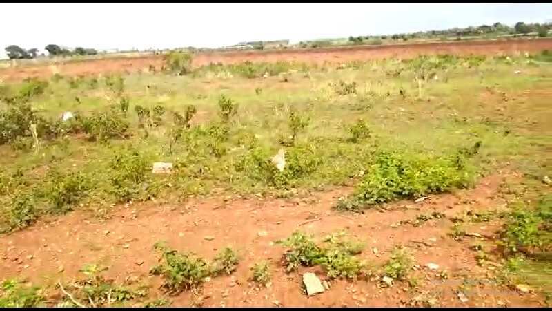  Residential Plot 11000 Sq.ft. for Sale in Ranebennur, Haveri