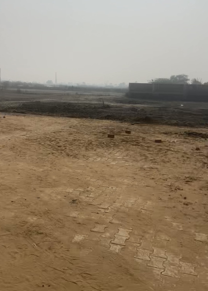  Industrial Land 1210 Sq. Yards for Sale in Sampla, Rohtak