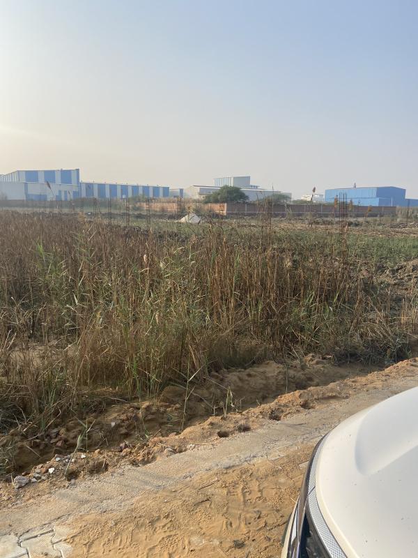 Industrial Land 1210 Sq. Yards for Sale in Sampla, Bahadurgarh
