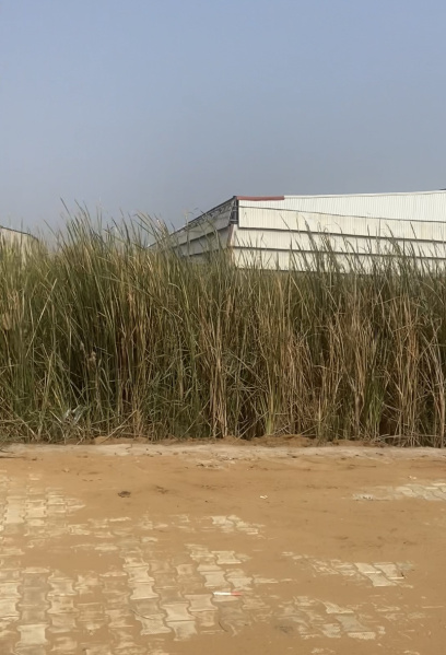  Industrial Land 1694 Sq. Yards for Sale in Sampla, Bahadurgarh