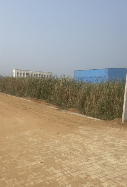  Industrial Land 3300 Sq. Yards for Sale in Kharkhoda, Sonipat