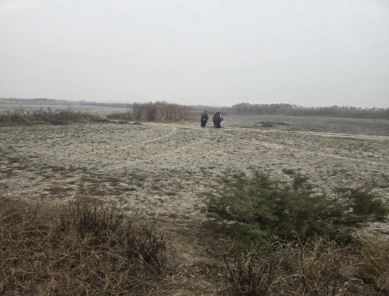  1500 Sq. Yards Industrial Land for Sale in Sampla, Bahadurgarh