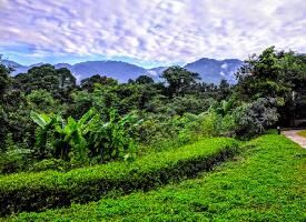 1 BHK Farm House for Sale in Guniyal Gaon, Dehradun