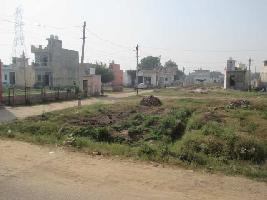  Residential Plot for Sale in Naveen Palace, Jharoda Kalan, Delhi