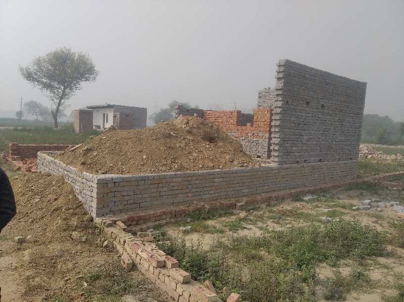  Residential Plot 450 Sq.ft. for Sale in Dichaon Kalan, Najafgarh, Delhi