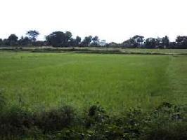  Agricultural Land for Sale in Champadali, Barasat, Kolkata