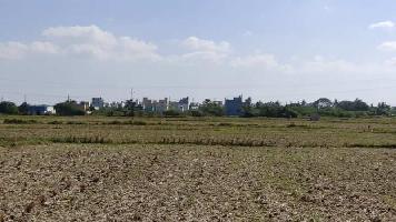  Agricultural Land for Sale in Ponneri, Thiruvallur