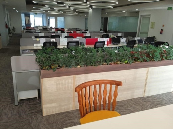 Office Space for Rent in Hinjewadi, Pune