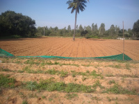  Agricultural Land for Sale in Bethamangala, Kolar