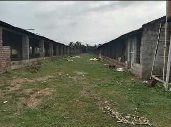  Agricultural Land 5 Acre for Sale in Krishnarajanagar, Mysore