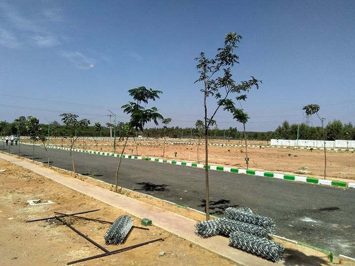  Residential Plot 5 Acre for Sale in Shankarpally, Rangareddy