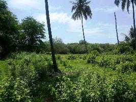  Residential Plot for Sale in Siridao, Goa