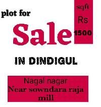  Residential Plot for Sale in Nagal Nagar, Dindigul