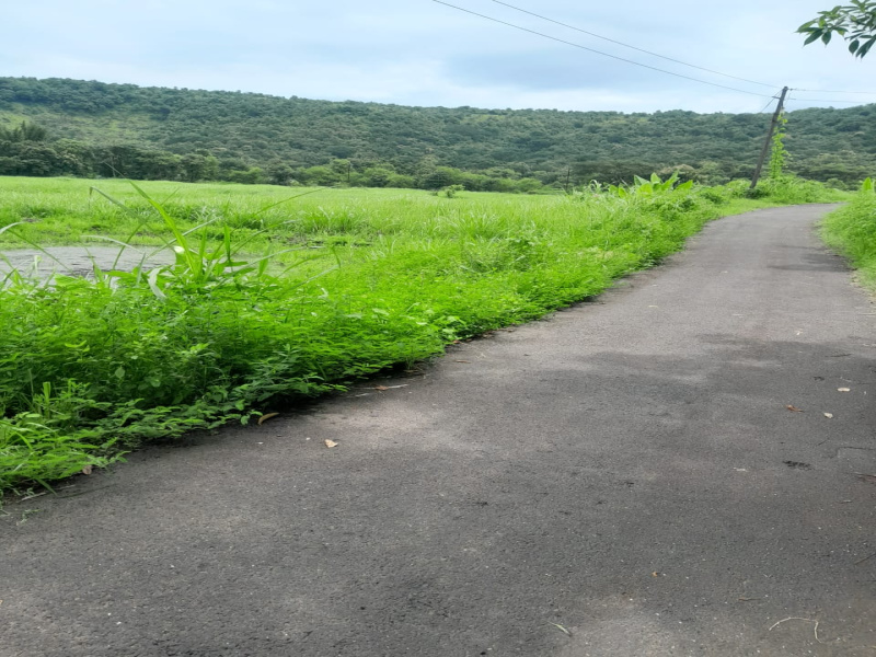  5 Acre Agricultural/Farm Land for Sale in Dapoli, Ratnagiri