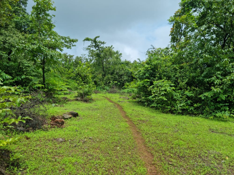  5 Acre Agricultural/Farm Land for Sale in Dapoli, Ratnagiri