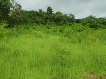  Agricultural Land for Sale in Dapoli, Ratnagiri