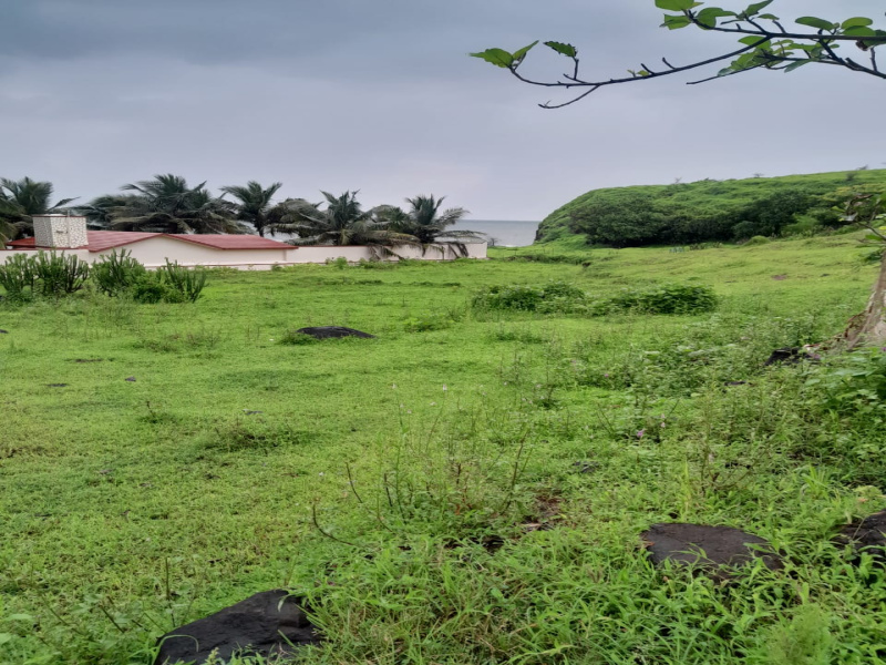  7 Guntha Residential Plot for Sale in Shrivardhan, Raigad