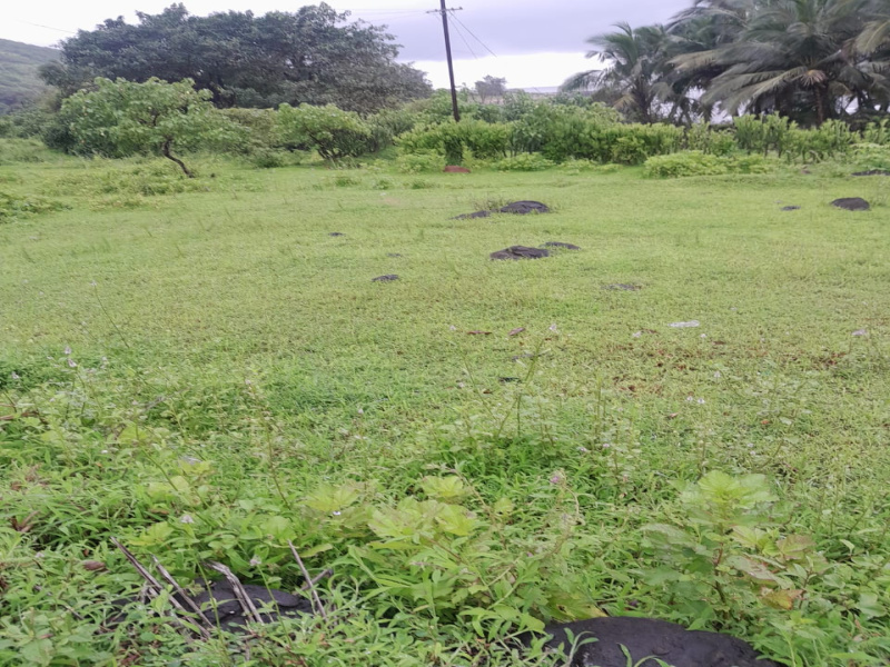  7 Guntha Residential Plot for Sale in Shrivardhan, Raigad