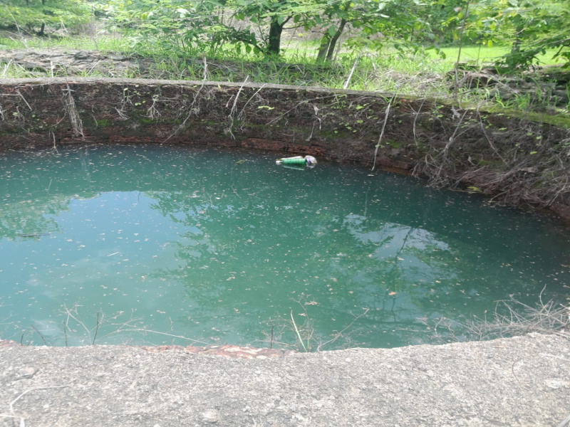  3 Acre Residential Plot for Sale in Mandangad, Ratnagiri