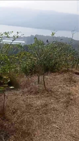  2 Acre Commercial Land for Sale in Mandangad, Ratnagiri