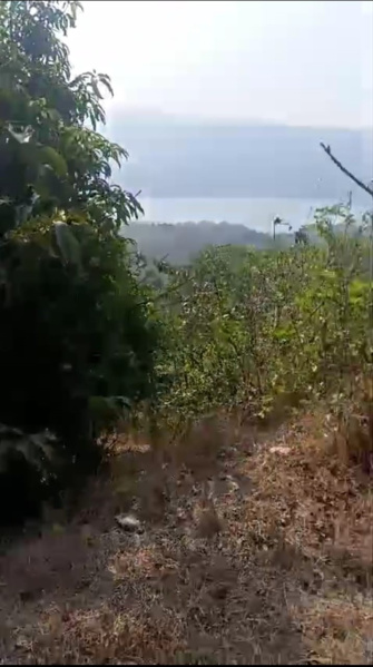  2 Acre Commercial Land for Sale in Mandangad, Ratnagiri