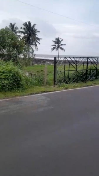  8 Guntha Commercial Land for Sale in Dapoli, Ratnagiri